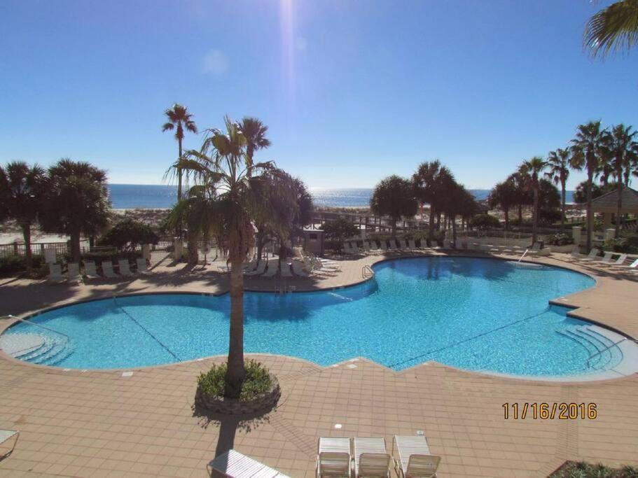 Doral 103 - Charming Beachfront / Ground Floor Condo! ガルフ・ショアーズ エクステリア 写真